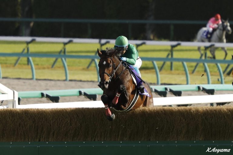 中山グランドジャンプ(J・G1)優勝馬イロゴトシ