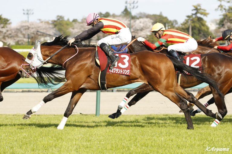 ニュージーランドトロフィー(G2)優勝馬イミグラントソング