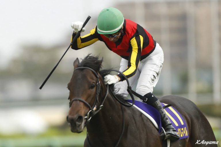 皐月賞(G1)優勝馬ミュージアムマイル