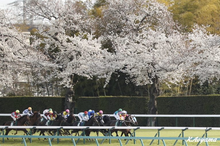 ダービー卿チャレンジトロフィー(G3)優勝馬トロヴァトーレ