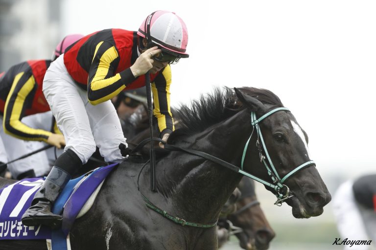 ヴィクトリアマイル(G1)優勝馬アスコリピチェーノ