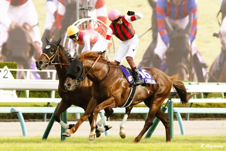 スプリンターズS(G1)優勝馬ウインカーネリアン
