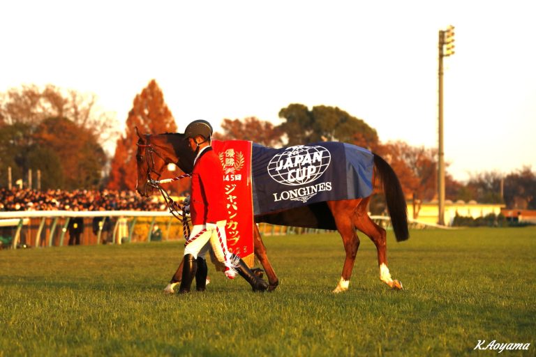 ジャパンカップ(G1)優勝馬カランダガン(Calandagan)