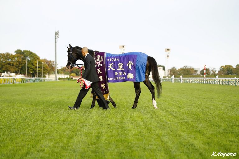 天皇賞・秋(G1)優勝馬マスカレードボール