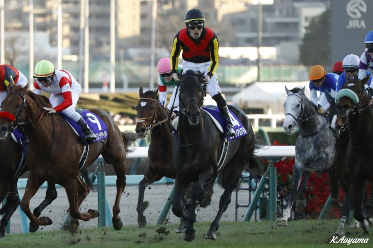 有馬記念(G1)優勝馬ミュージアムマイル