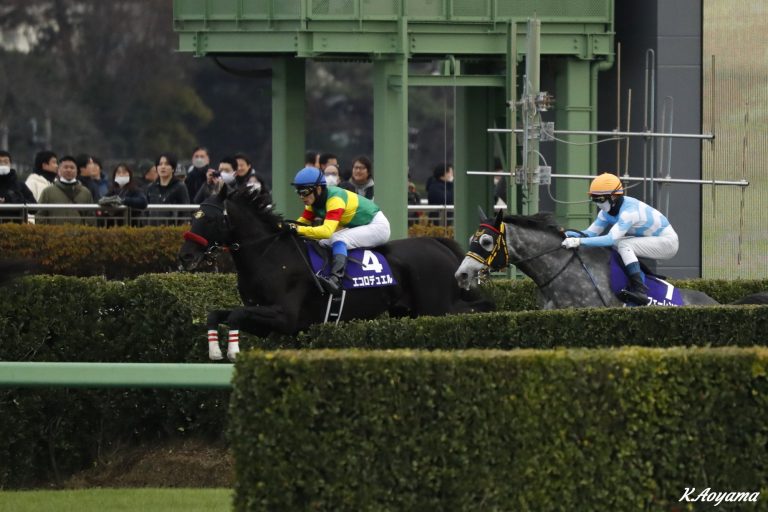 中山大障害(J・G1)優勝馬エコロデュエル