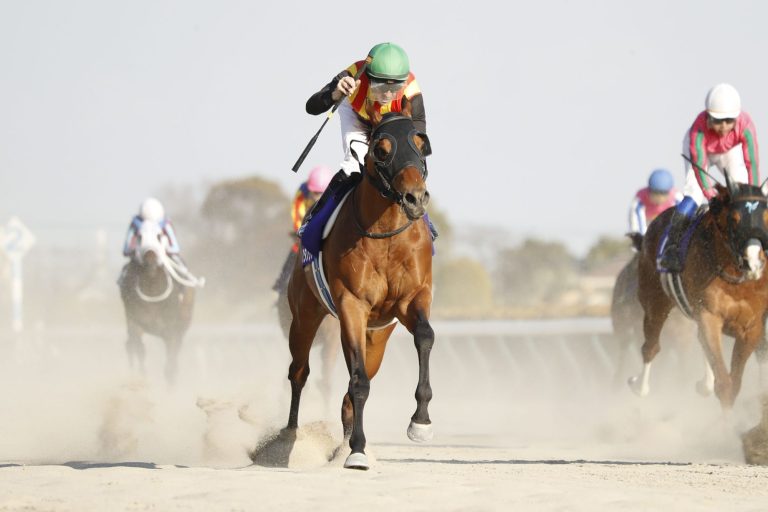 フェブラリーS(G1)優勝馬コスタノヴァ