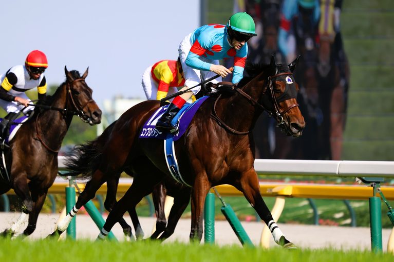 ヴィクトリアマイル(G1)優勝馬エンブロイダリー