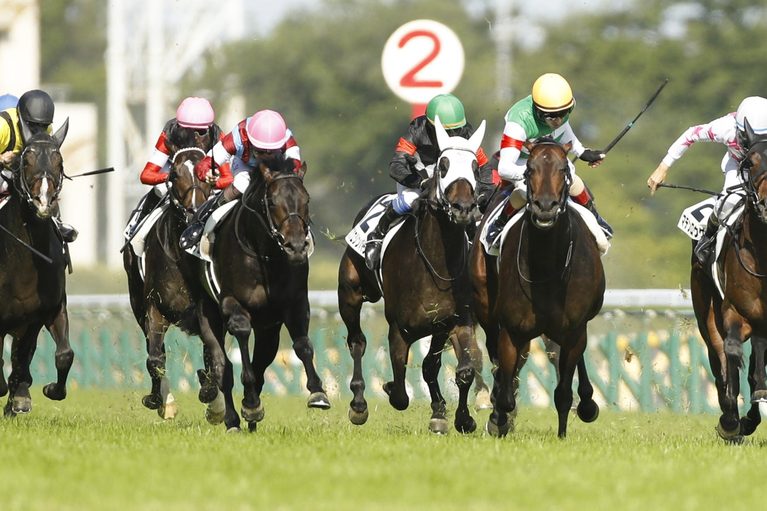 東京優駿(G1)優勝馬ロブチェン