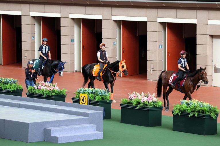 2026香港チャンピオンズデーの調教2
